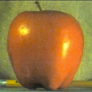 apple_gaussian_0