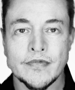 elon_to_average