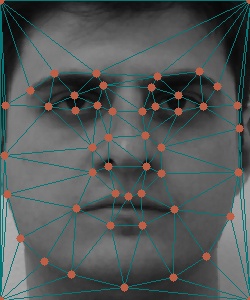 neutral_im1a_with_triangulation