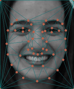 smiling_im51b_with_triangulation