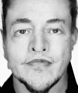 elon_caricature_alpha_-0.5