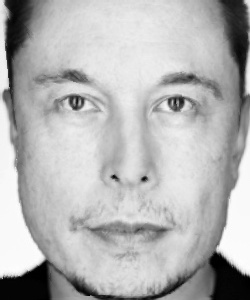 elon_caricature_alpha_1.5