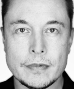 elon_normalized